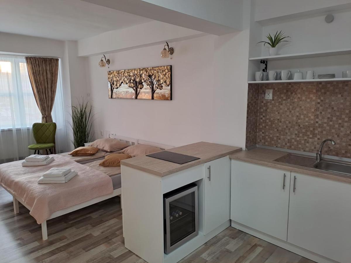 7 Level Central Apartments Miercurea Ciuc Extérieur photo